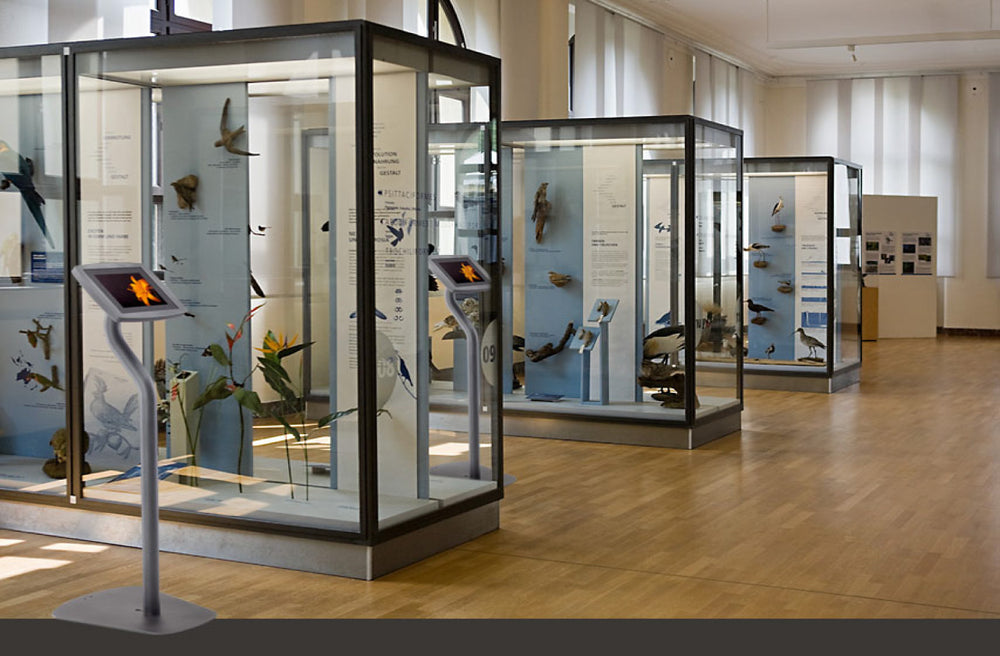 Silver tablet floor stands beside natural history display cases in a museum gallery